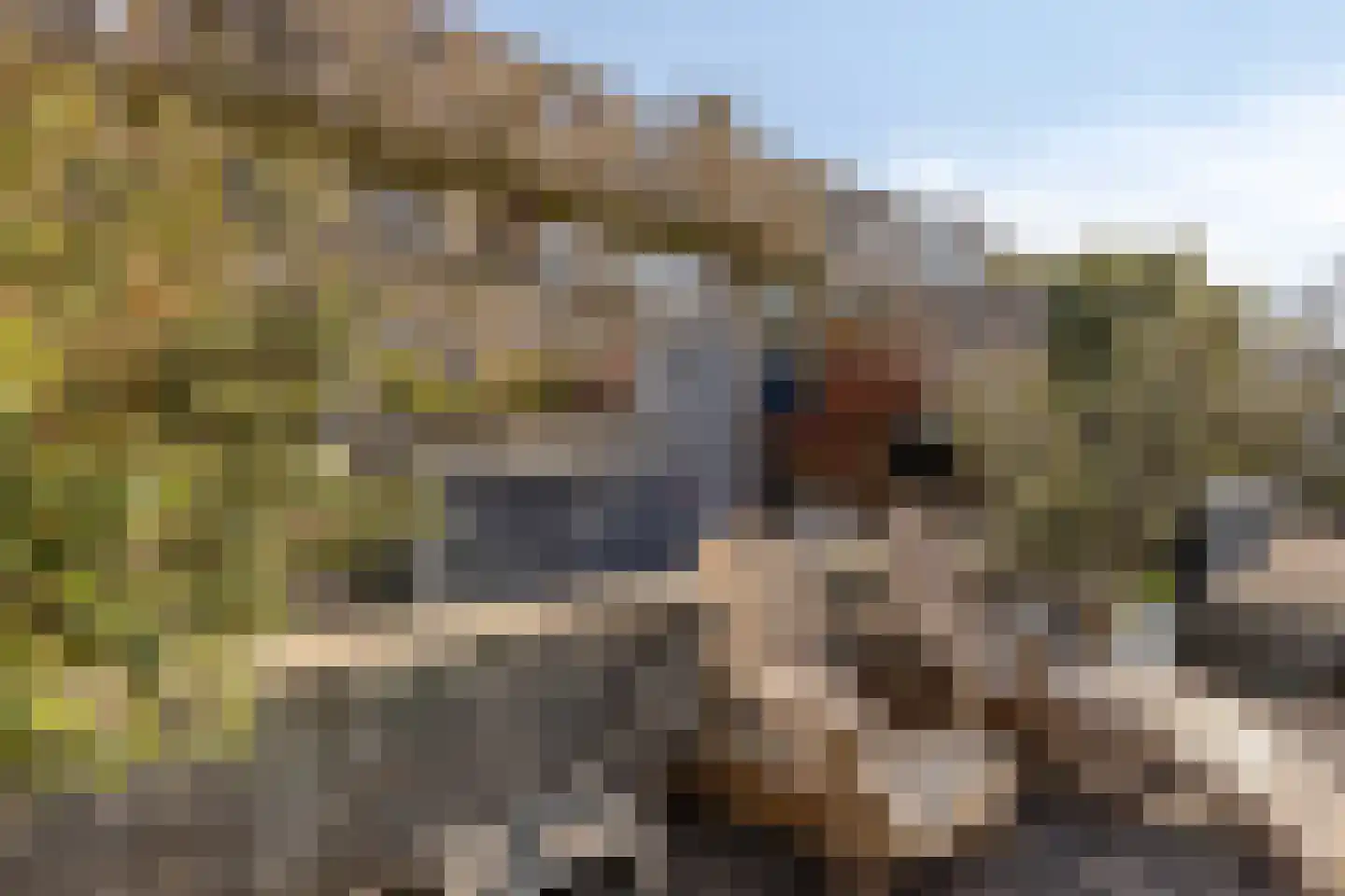 Wherekant 7 Purmerend thumbnail 45