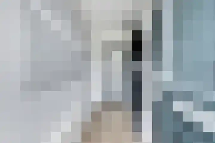 Whitestraat 16 Krommenie thumbnail 10