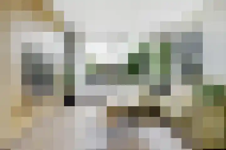 Whitestraat 16 Krommenie thumbnail 13
