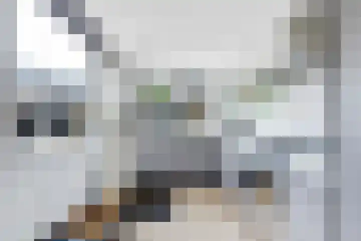 Whitestraat 16 Krommenie thumbnail 23