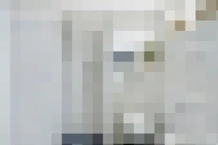 Whitestraat 16 Krommenie thumbnail 35