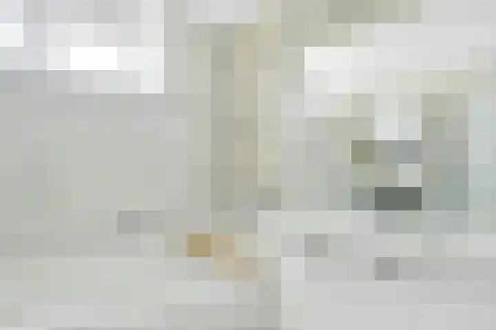 Whitestraat 16 Krommenie thumbnail 36