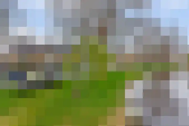 Whitestraat 16 Krommenie thumbnail 4