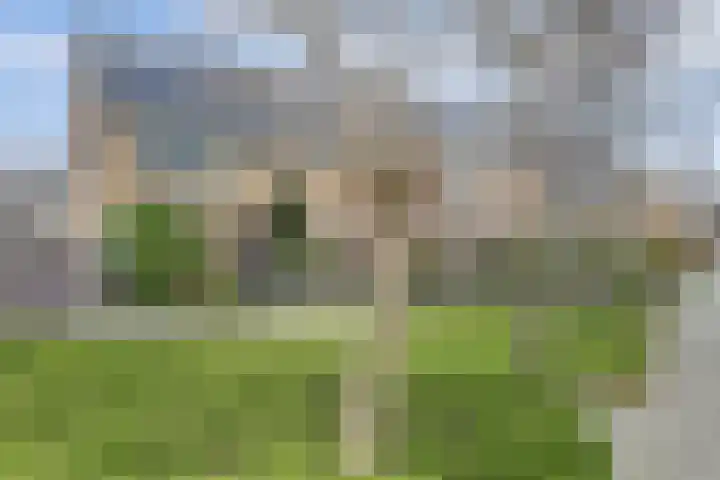 Whitestraat 16 Krommenie thumbnail 5