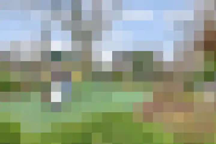 Whitestraat 16 Krommenie thumbnail 50