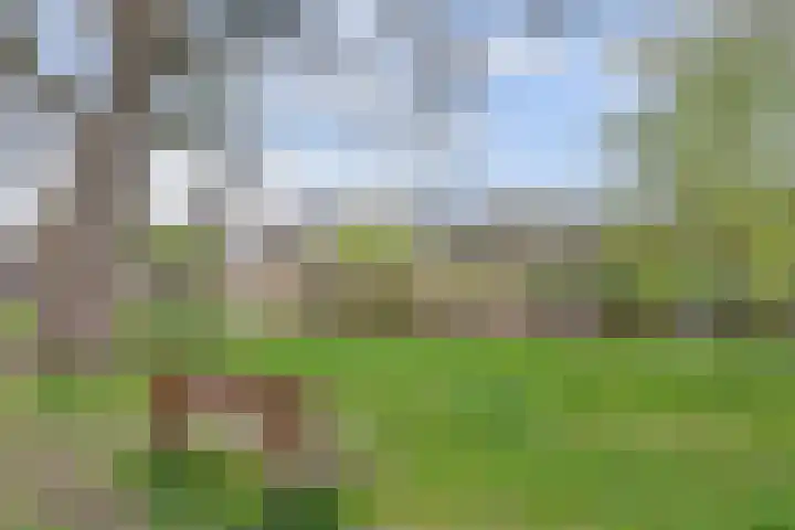 Whitestraat 16 Krommenie thumbnail 51
