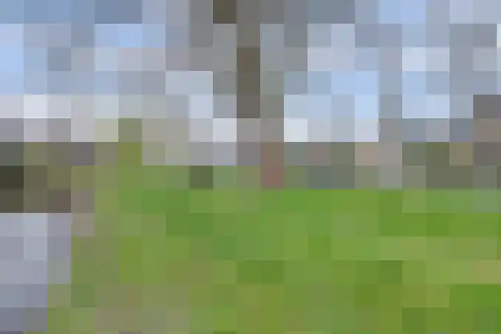 Whitestraat 16 Krommenie thumbnail 52