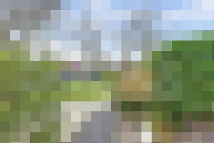 Whitestraat 16 Krommenie thumbnail 9