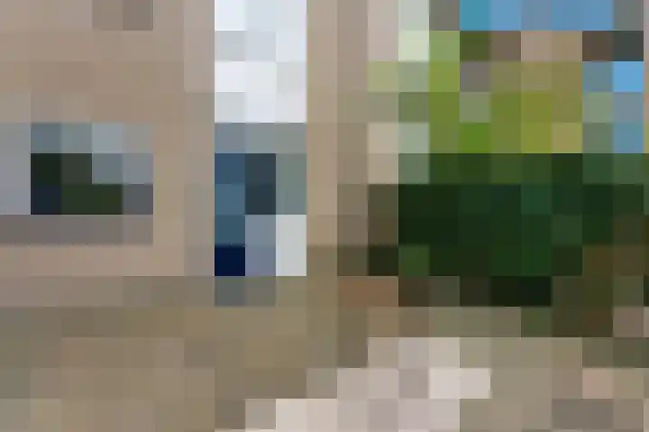 Wiardapad 53 Rotterdam thumbnail 19