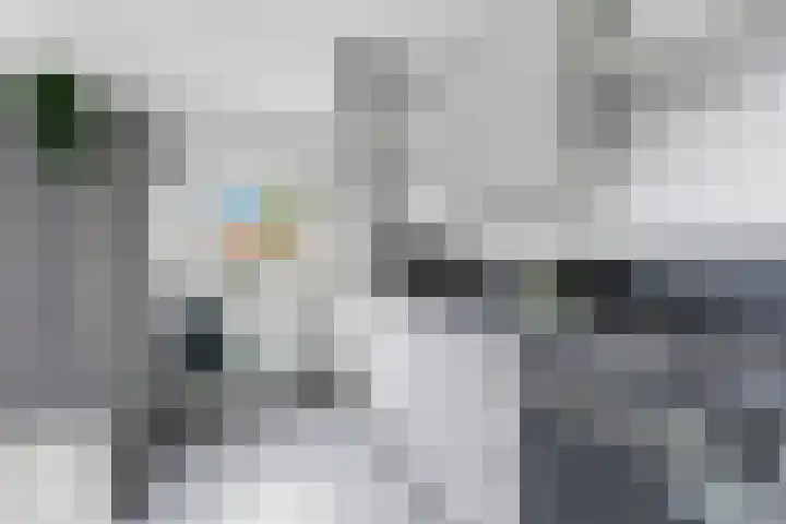 Wiardapad 53 Rotterdam thumbnail 27