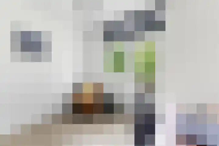 Wiardapad 53 Rotterdam thumbnail 31