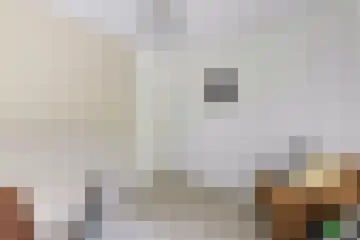 Wiardapad 53 Rotterdam thumbnail 32