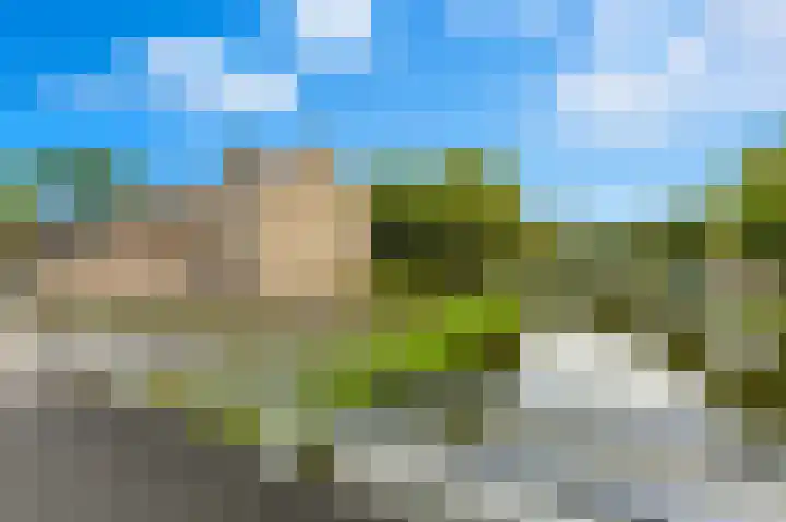 Wiardapad 53 Rotterdam thumbnail 39