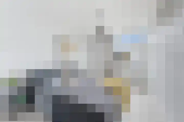 Wiardapad 53 Rotterdam thumbnail 4