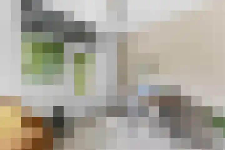 Wiardapad 53 Rotterdam thumbnail 5