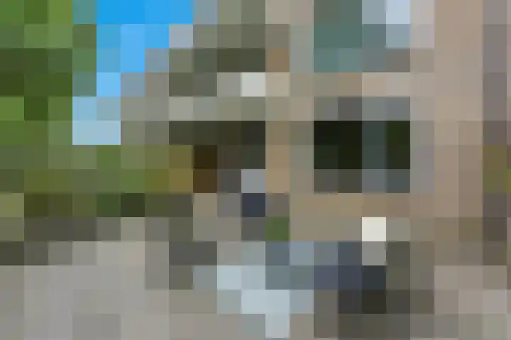 Wiardapad 53 Rotterdam thumbnail 6