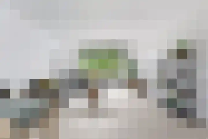 Wiardapad 53 Rotterdam thumbnail 8