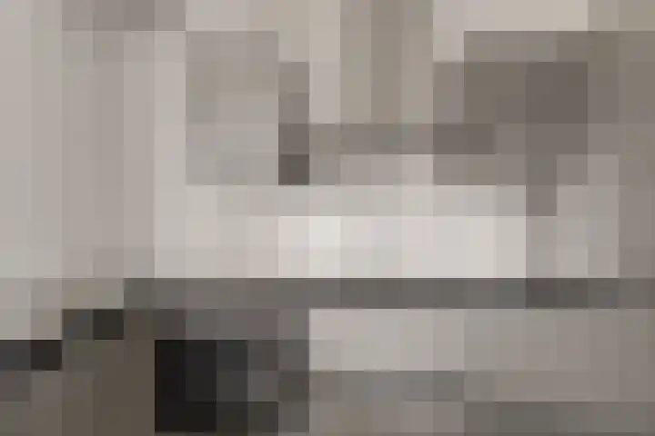 Wiardapad 9 Rotterdam thumbnail 10