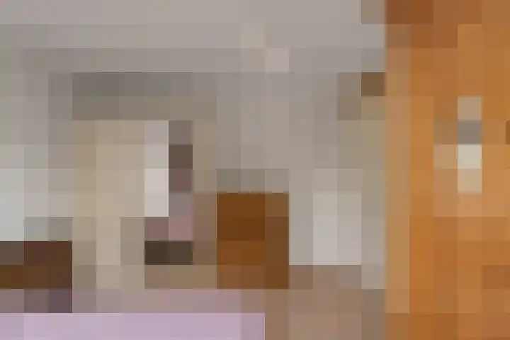 Wiardapad 9 Rotterdam thumbnail 13