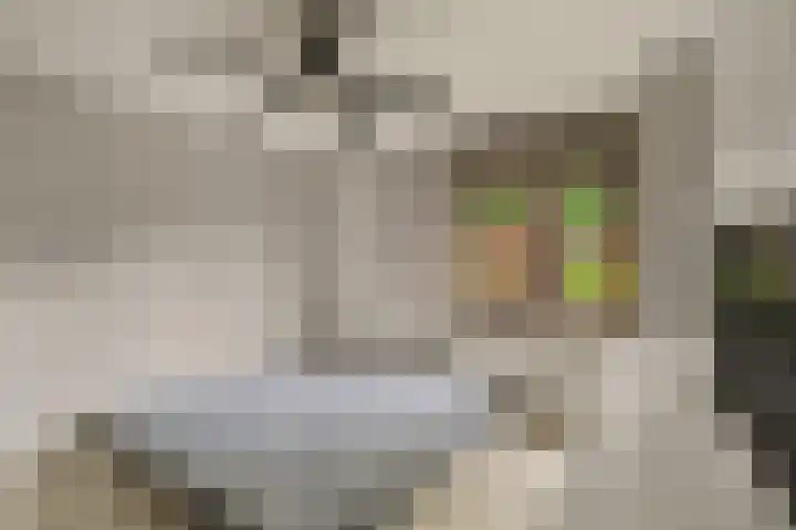 Wiardapad 9 Rotterdam thumbnail 14
