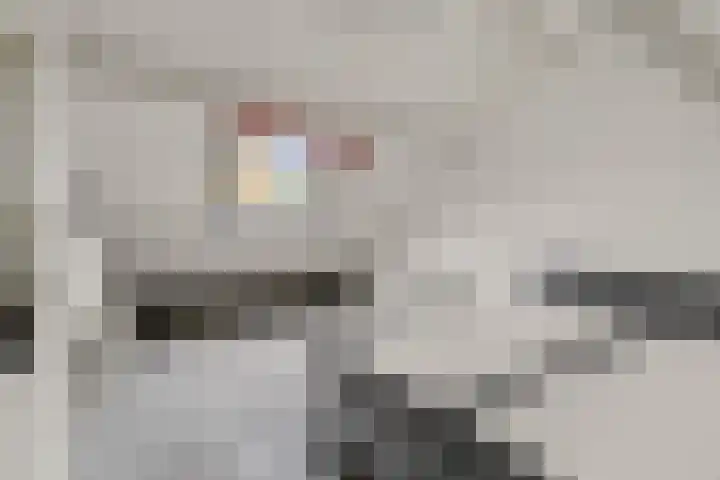 Wiardapad 9 Rotterdam thumbnail 21