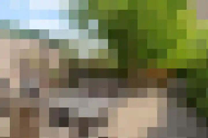 Wiardapad 9 Rotterdam thumbnail 22
