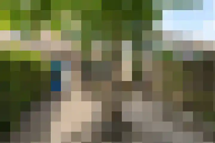 Wiardapad 9 Rotterdam thumbnail 23