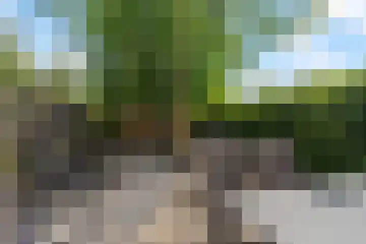 Wiardapad 9 Rotterdam thumbnail 24