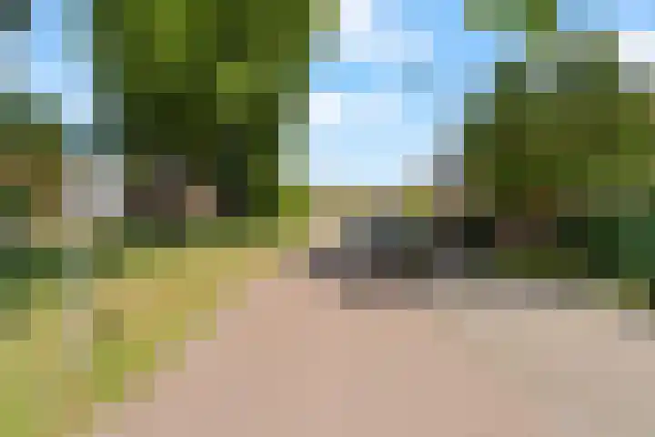 Wiardapad 9 Rotterdam thumbnail 27