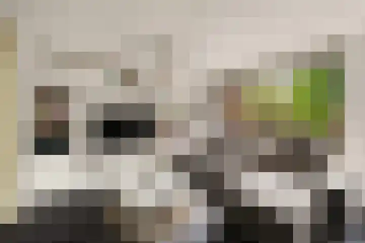 Wiardapad 9 Rotterdam thumbnail 4