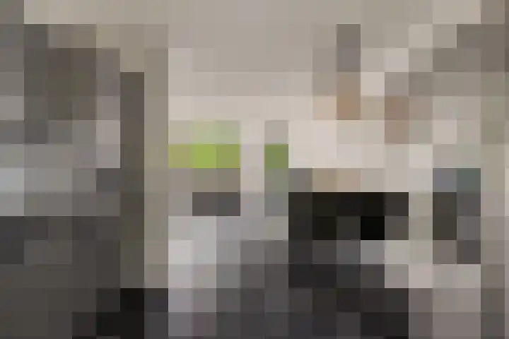 Wiardapad 9 Rotterdam thumbnail 5