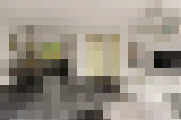 Wiardapad 9 Rotterdam thumbnail 6