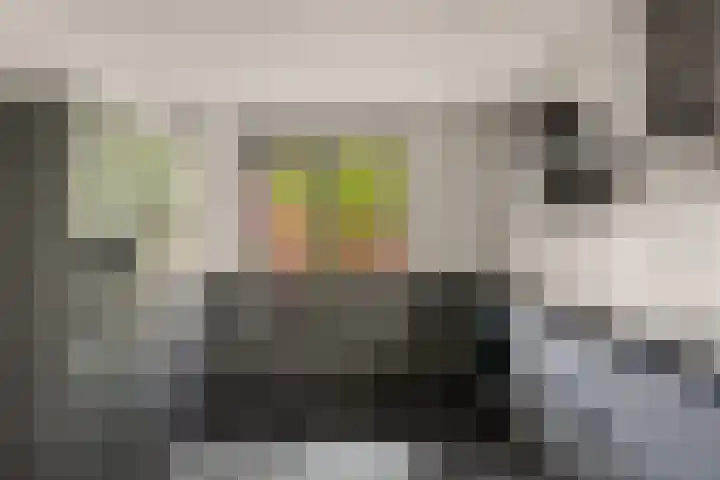 Wiardapad 9 Rotterdam thumbnail 7