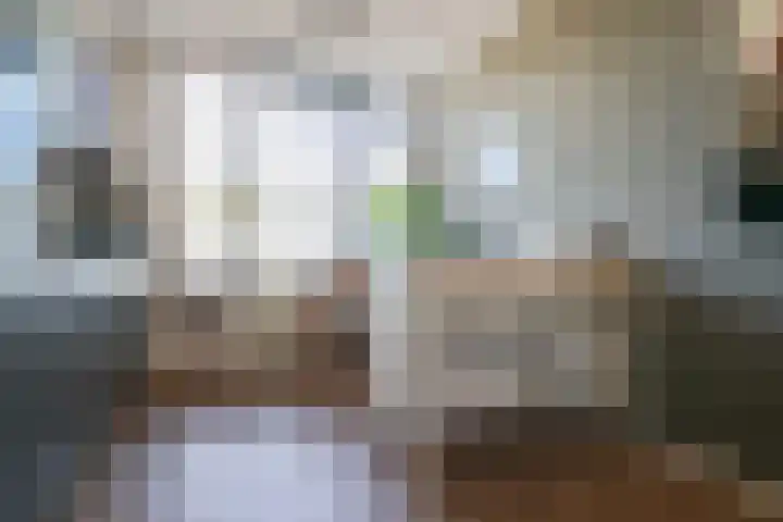 Wiardaplantage 40 Leeuwarden thumbnail 27