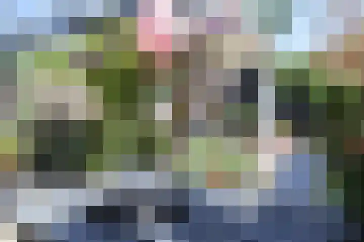 Wiardaplantage 40 Leeuwarden thumbnail 53
