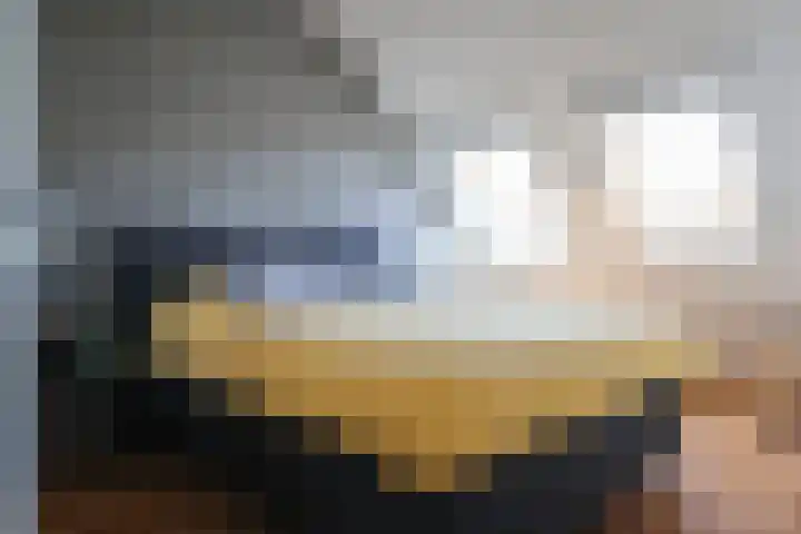 Wiardaplantage 40 Leeuwarden thumbnail 6