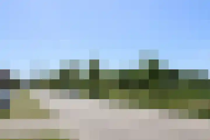 Wiardaplantage 40 Leeuwarden thumbnail 65