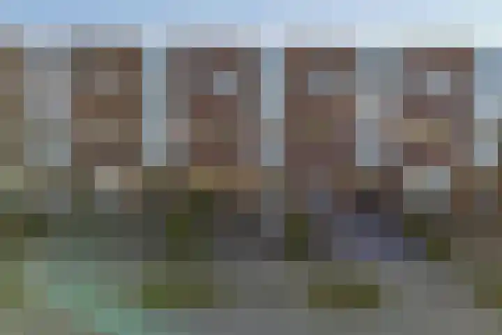 Wiardaplantage 40 Leeuwarden thumbnail 68