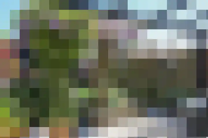 Wiardaplantage 40 Leeuwarden thumbnail 7