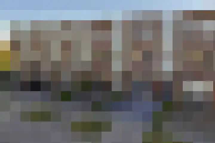 Wiardaplantage 40 Leeuwarden thumbnail 70
