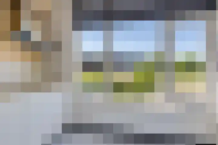 Wiardaplantage 46 Leeuwarden thumbnail 17