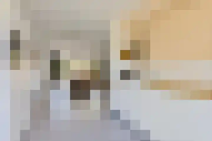 Wiardaplantage 46 Leeuwarden thumbnail 18