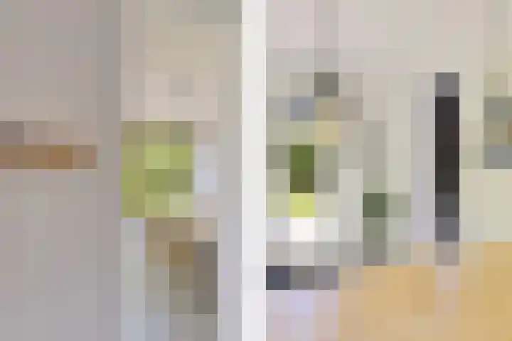 Wiardaplantage 46 Leeuwarden thumbnail 19