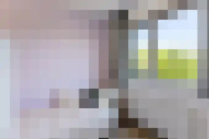 Wiardaplantage 46 Leeuwarden thumbnail 28