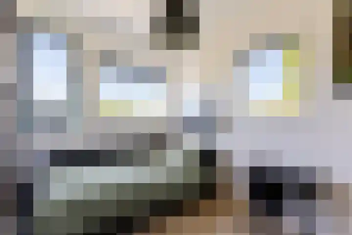 Wiardaplantage 46 Leeuwarden thumbnail 29