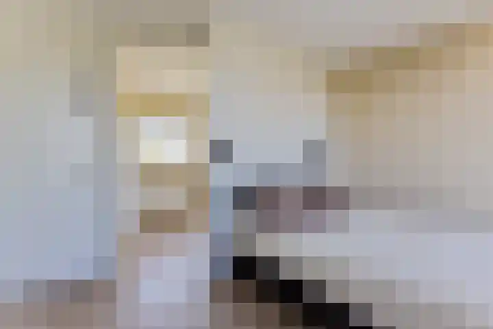 Wiardaplantage 46 Leeuwarden thumbnail 37