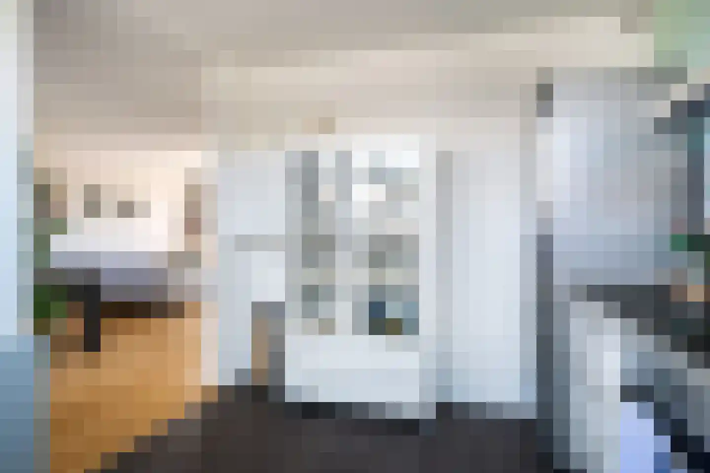 Wiardaplantage 56 Leeuwarden thumbnail 10