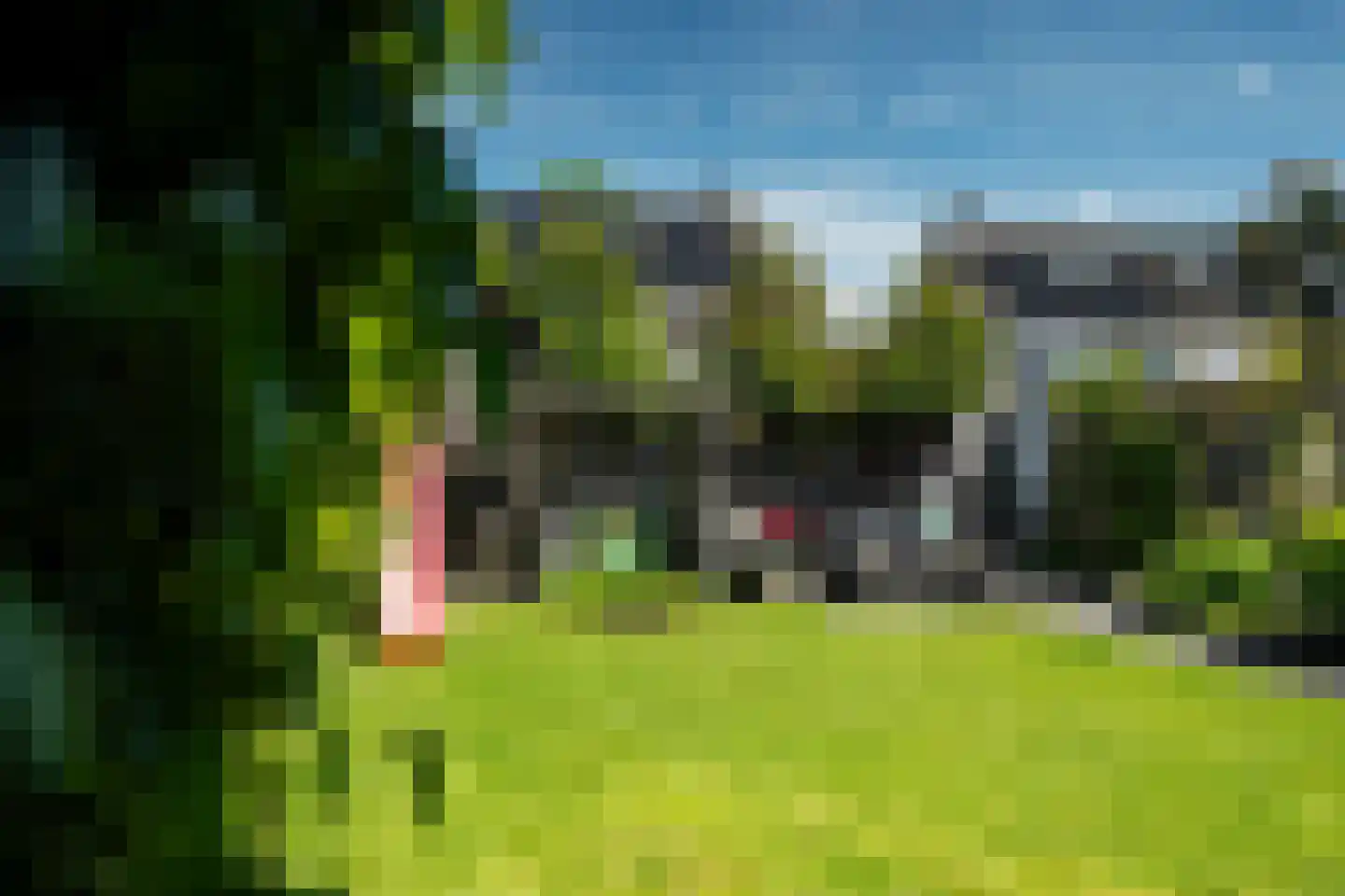 Wiardaplantage 56 Leeuwarden thumbnail 16