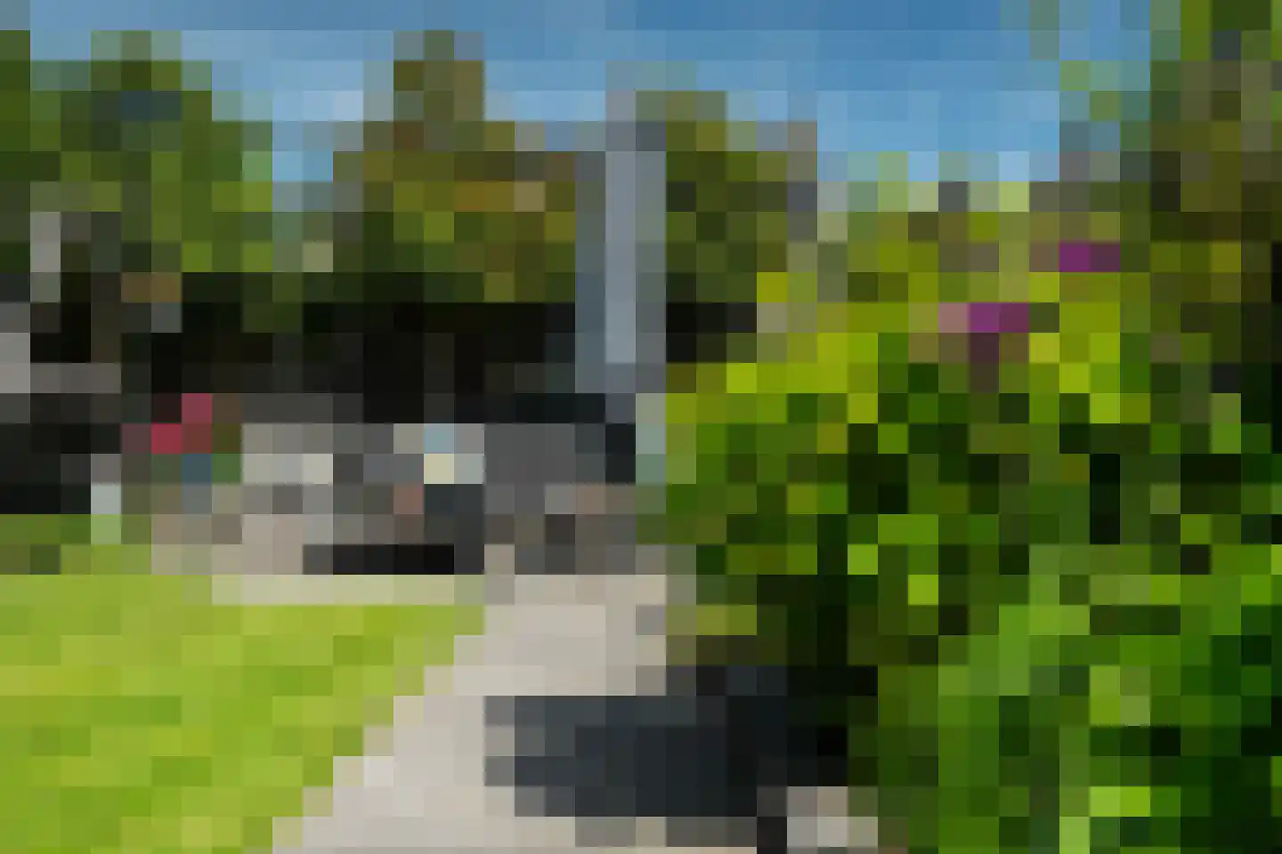 Wiardaplantage 56 Leeuwarden thumbnail 18