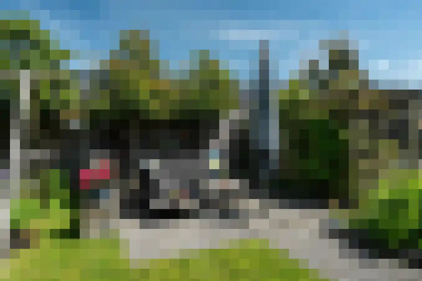 Wiardaplantage 56 Leeuwarden thumbnail 19